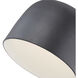 Cayne LED 12.13 inch Black and White Flush Mount Ceiling Light