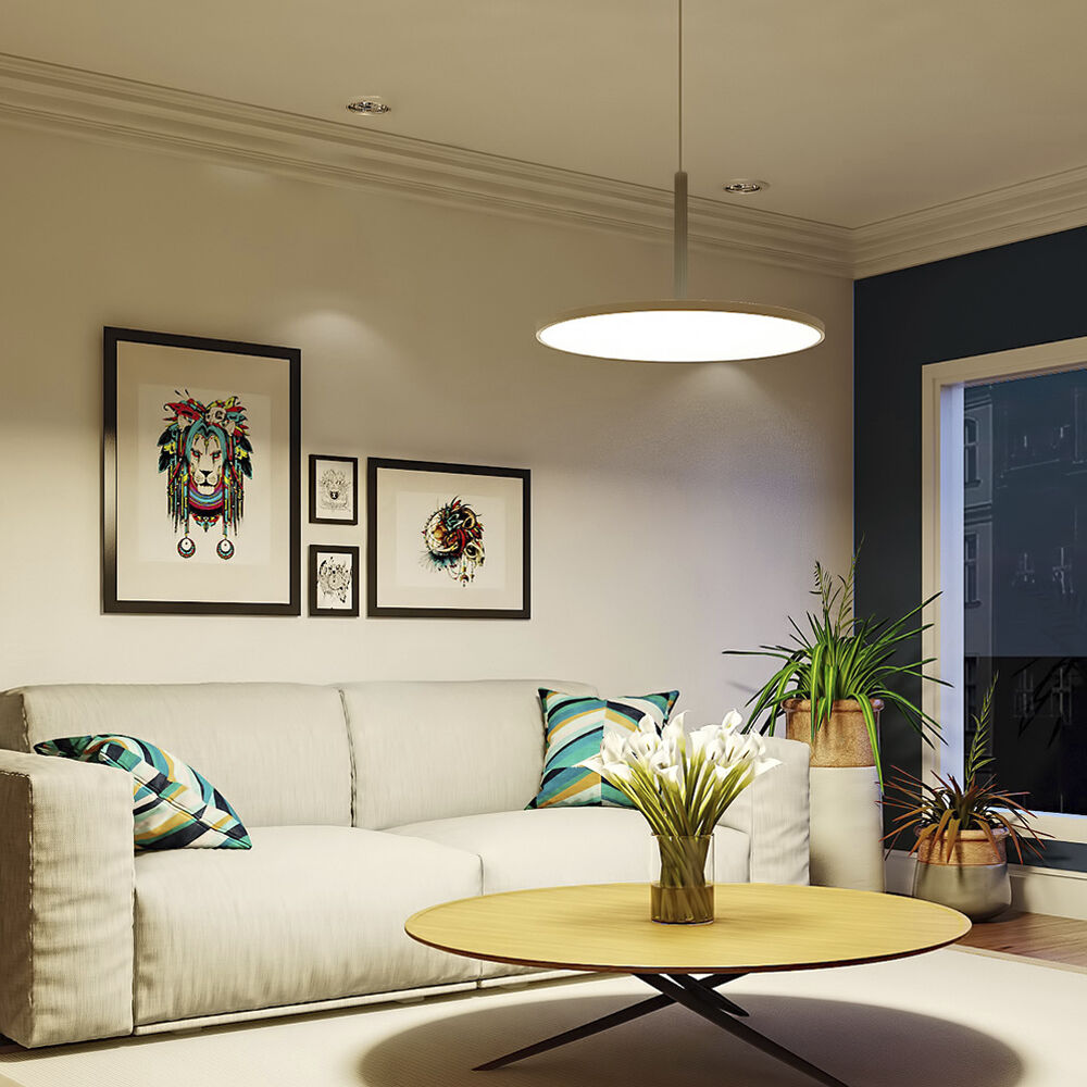 Salm 24 inch White Pendant/Chandelier Ceiling Light