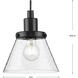 Hinton 1 Light 8 inch Matte Black Mini-Pendant Ceiling Light