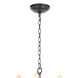 Cobra 12 Light 30.5 inch Oil Rubbed Bronze Chandelier Ceiling Light, Small