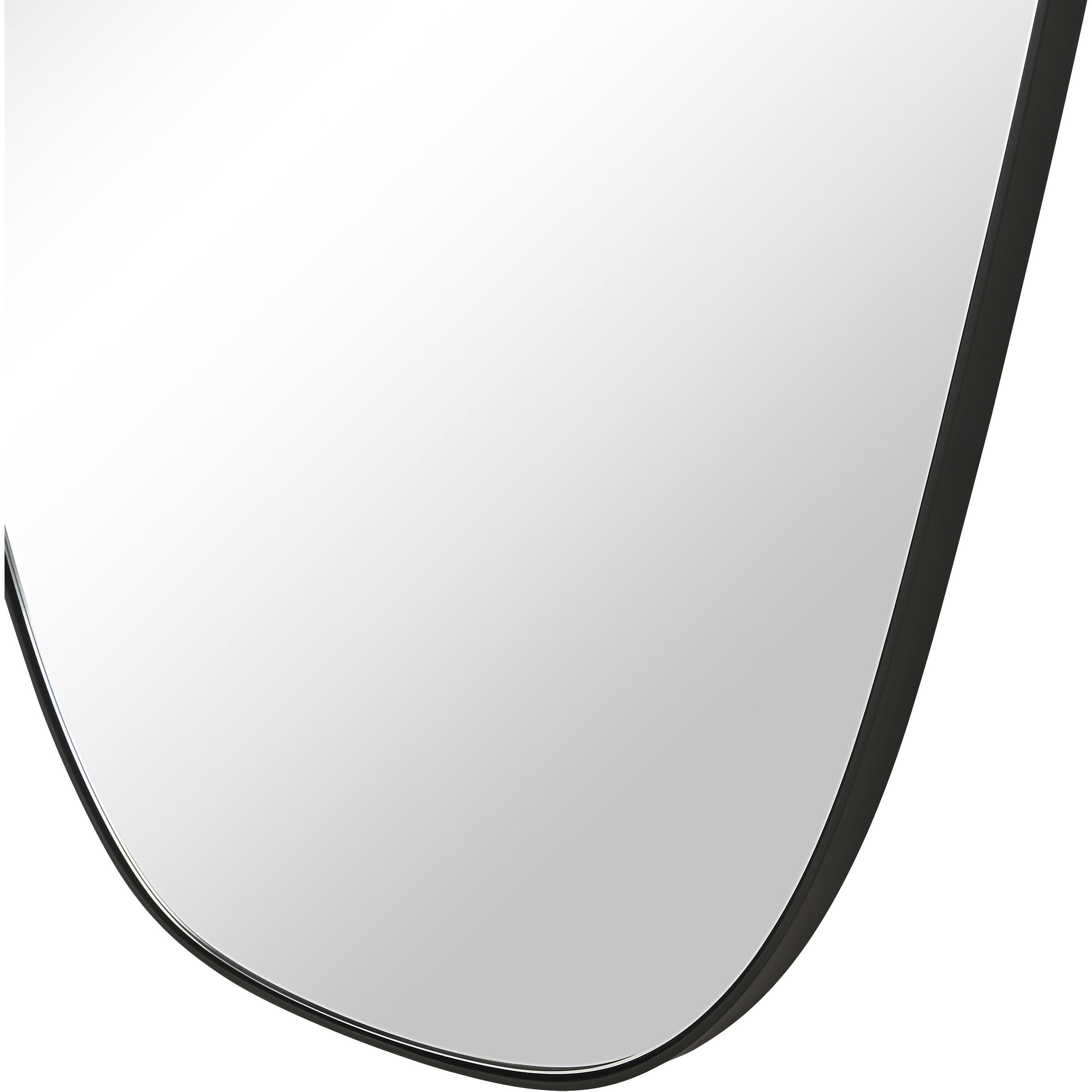Enina 65 X 25.5 inch Matte Black Wall Mirror