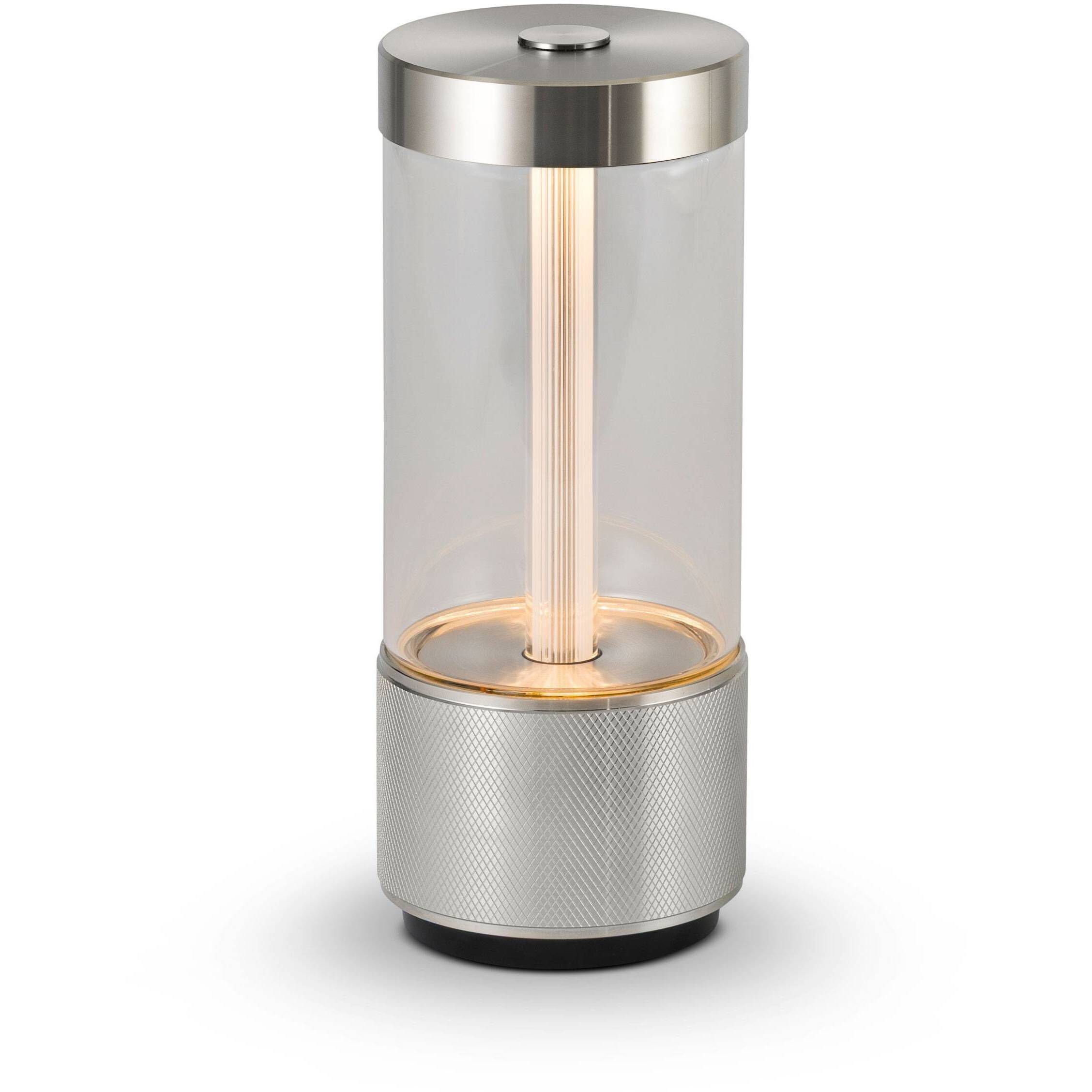 Takeout 8.66 inch 7 watt Steel Portable Light