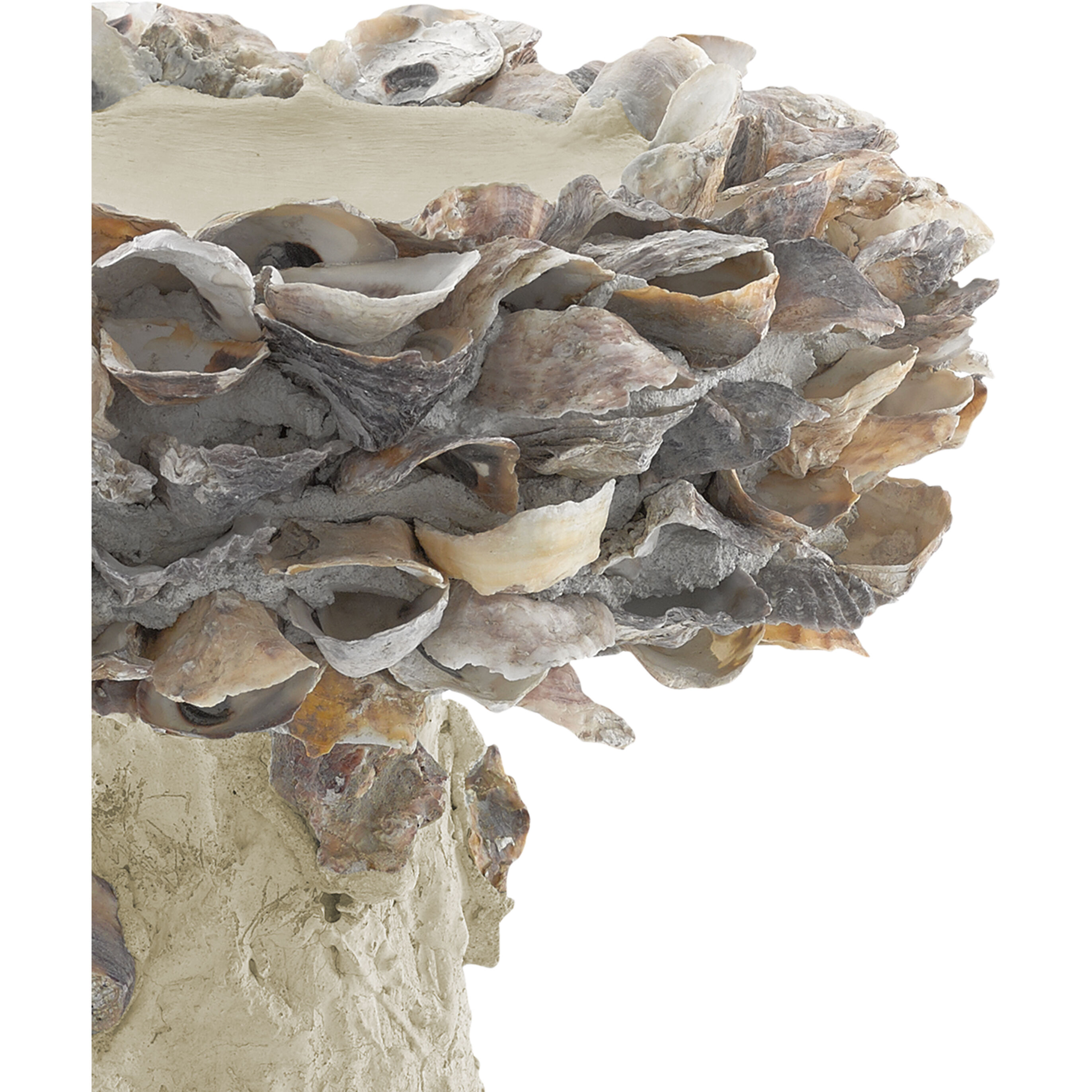 Oyster Shell Natural Bird Bath, Small