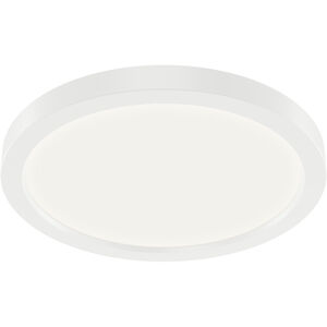 Ara Flush Mount