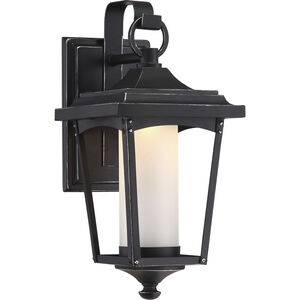 Essex LED 14 inch Sterling Black Outdoor Wall Light