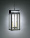 Livery 2 Light 7 inch Antique Copper Hanging Lantern Ceiling Light in Clear Glass