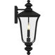 Farley 2 Light 20 inch Matte Black Outdoor Wall Lantern