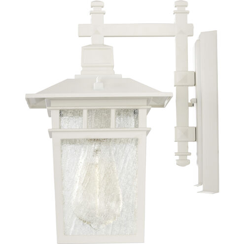 Cove Neck 1 Light 12 inch White Outdoor Wall Lantern