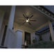 Loa 65 inch Satin Black Ceiling Fan
