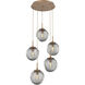 Aster Incandescent 5 Light Novel Brass Chandelier Ceiling Light, Round Multi-Pendant