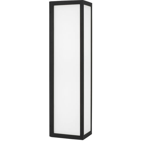 Irvin LED 22.5 inch Black Outdoor Wall Lantern