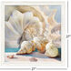 Shells Collection White and Beige and Turquoise Framed Art