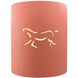 Sun Dagger Outdoor Wall Sconce