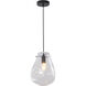 Canada 1 Light 8 inch Black Pendant Ceiling Light