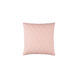 Reda 20 X 20 inch Peach and Silver Throw Pillow