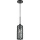 Twinewell 1 Light 5.13 inch Black Mini Pendant Ceiling Light