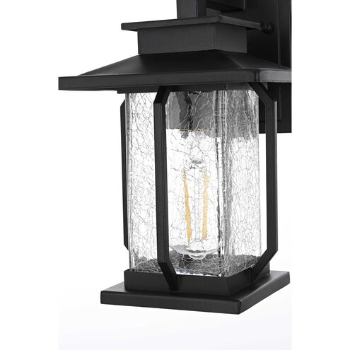 Salem 1 Light 12 inch Black Outdoor Wall Sconce