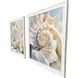Shells Collection White and Beige and Turquoise Framed Art