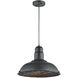 Clarkson Series 1 Light 16 inch Matte Black Pendant Ceiling Light