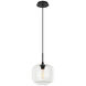 Irresistible Organic Charm 1 Light 9.88 inch Clear Pendant Ceiling Light