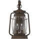 Smith Mountain Outdoor Wall Lantern