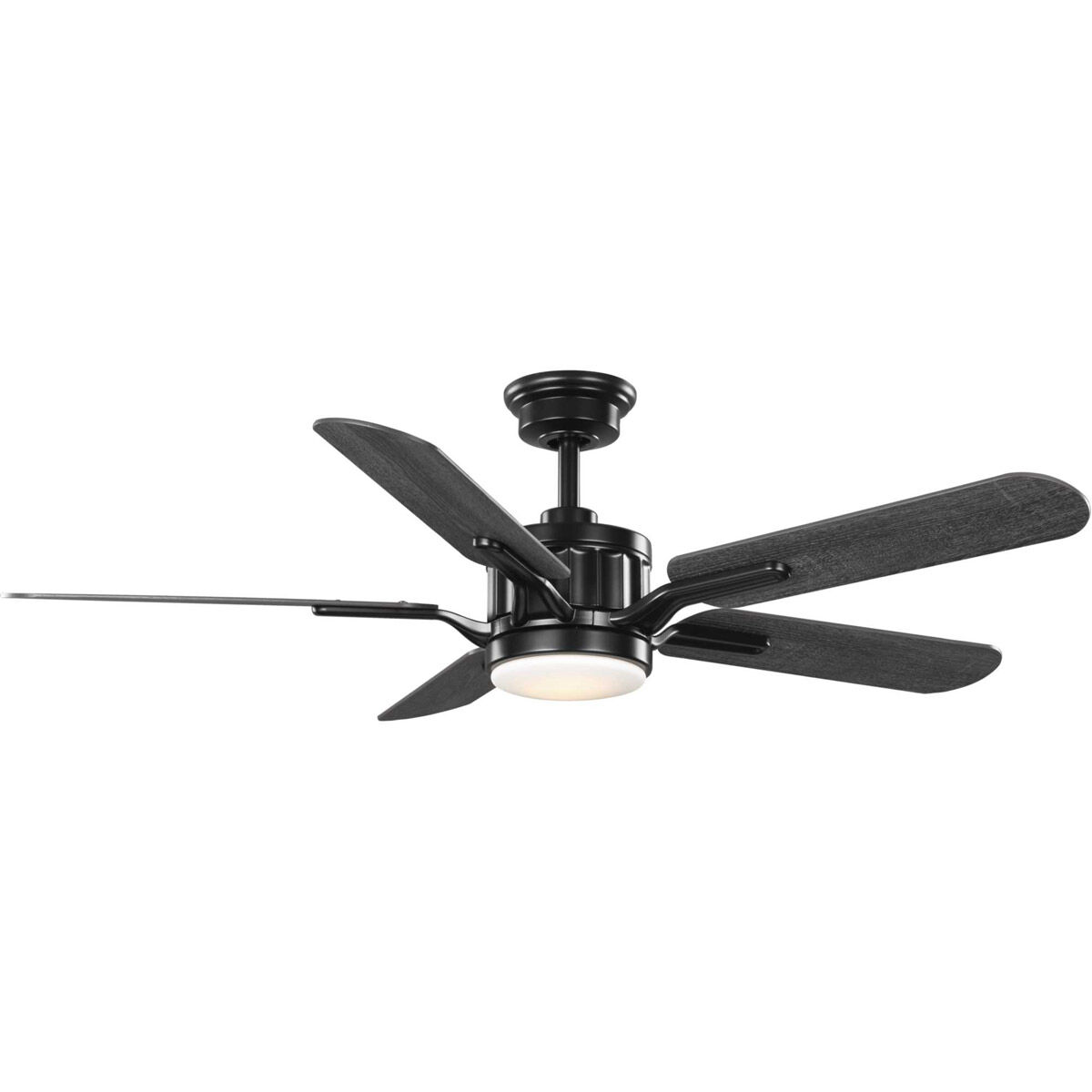 Claret 54.00 inch Indoor Ceiling Fan