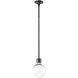 Zigrina 1 Light 7.88 inch Satin Brushed Black with Polished Nickel Pendant Ceiling Light