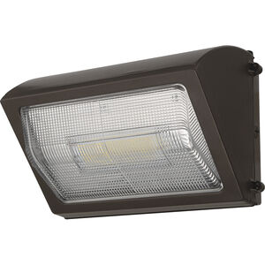 EnviroLite Outdoor Wall Light