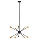 ED Ellen DeGeneres Jax 10 Light 27.25 inch Midnight Black Chandelier Ceiling Light
