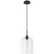 Irresistible Organic Charm 1 Light 9.88 inch Clear Pendant Ceiling Light