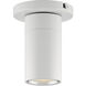 GX15 1 Light 4.00 inch Flush Mount