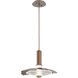Cumulus LED 10 inch Burnished Bronze with Clear Granite Glass Pendant Ceiling Light, Medium