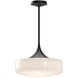 Lincoln 1 Light 14 inch Matte Black Pendant Ceiling Light