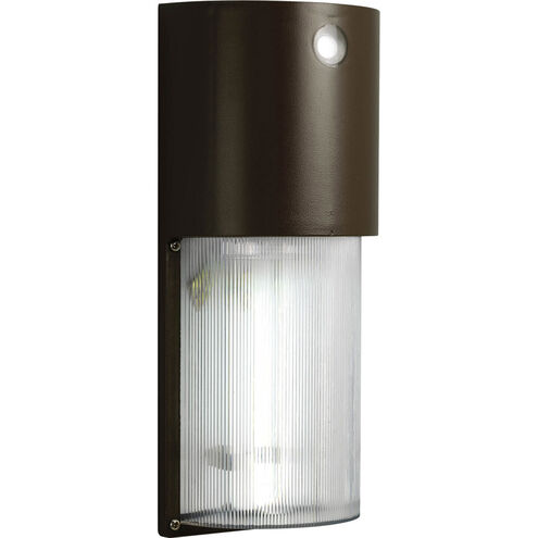 Commercial Outdoor Pack 2 Light 12 inch Antique Bronze Outdoor Wall Lantern