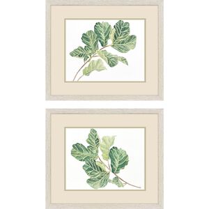 Fiddle Fig Leaf Green Framed Art
