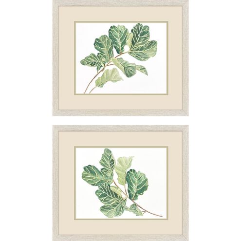 Fiddle Fig Leaf Green Framed Art