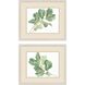 Fiddle Fig Leaf Green Framed Art