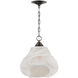 Wintershall 1 Light 14.25 inch Antique Brushed Nickel Pendant Ceiling Light