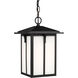 Tomek 1 Light 8.38 inch Black Outdoor Pendant