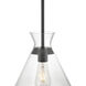 Amarella 1 Light 10 inch Matte Black Pendant Ceiling Light