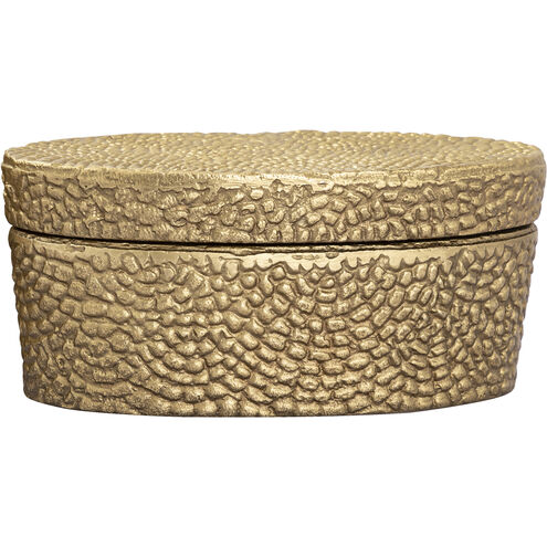Oval Pebble 9 X 5 inch Antique Brass Box, Large