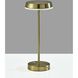 Tommy 15 inch 2.00 watt Antique Brass LED Cordless Table Lamp Portable Light