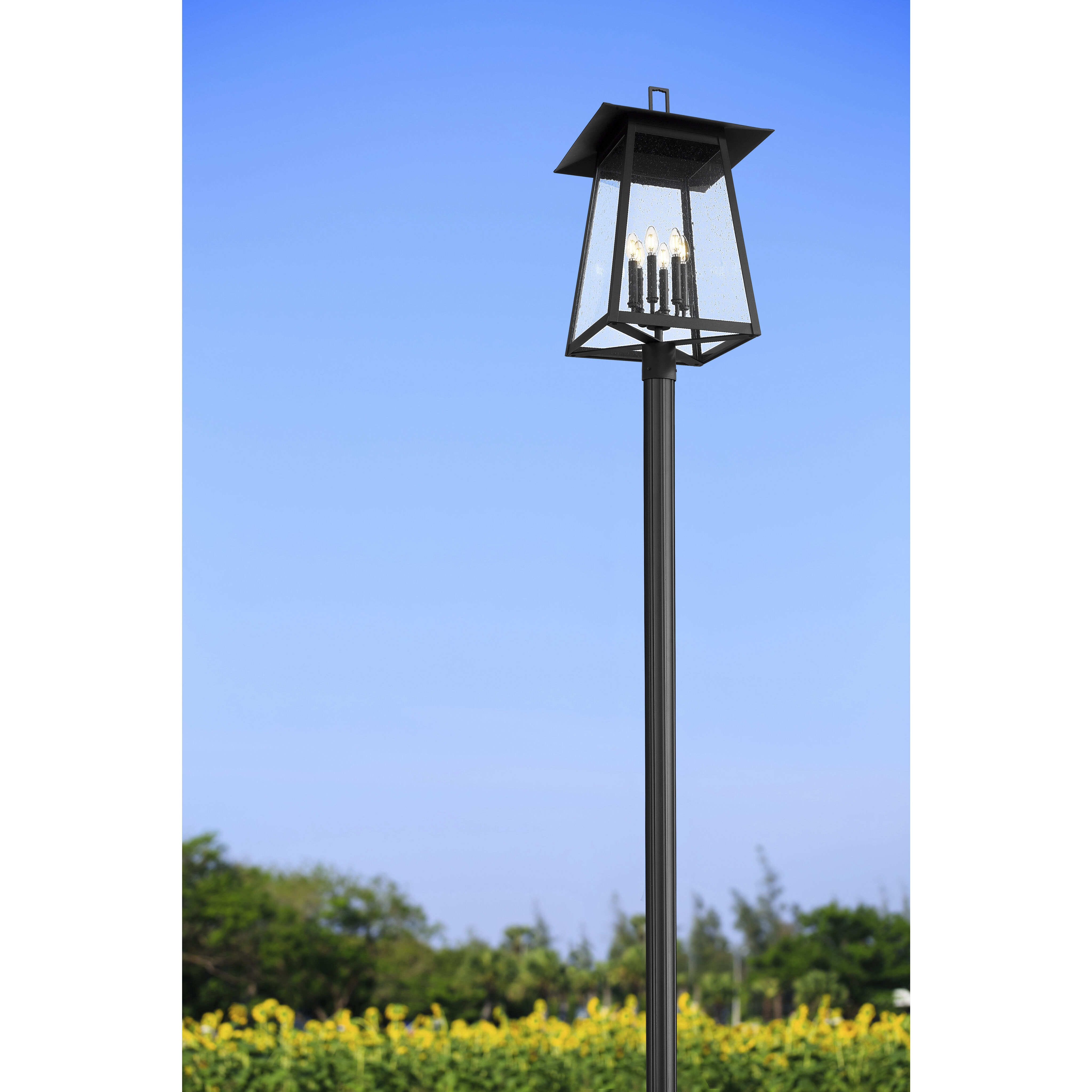 Rainer 6 Light 126 inch Black Outdoor Post Mounted Fixture in G9