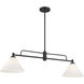Transitional 2 Light 10 inch Matte Black Chandelier Ceiling Light