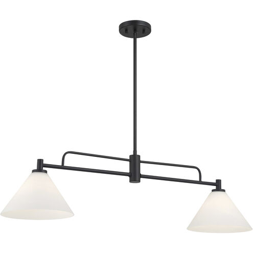 Transitional 2 Light 10 inch Matte Black Chandelier Ceiling Light