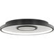 Pinpoint LED 16.38 inch Black Flush Mount Ceiling Light in 2700K, dweLED
