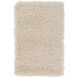Portland 36 X 24 inch Beige Rug