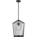 Lido 1 Light 13 inch Matte Black Pendant Ceiling Light