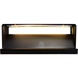Lilliana LED 12 inch Black Wall Light