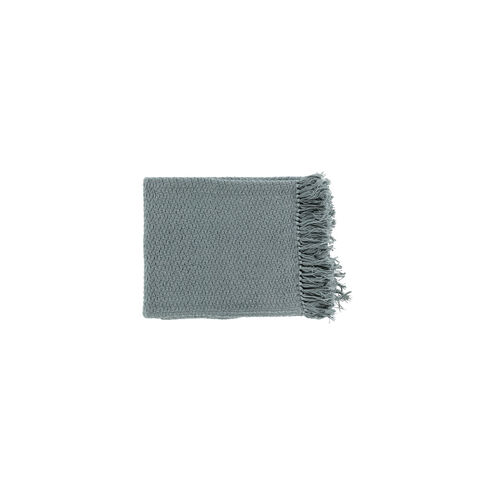 Tressa 60 X 50 inch Grey Throw